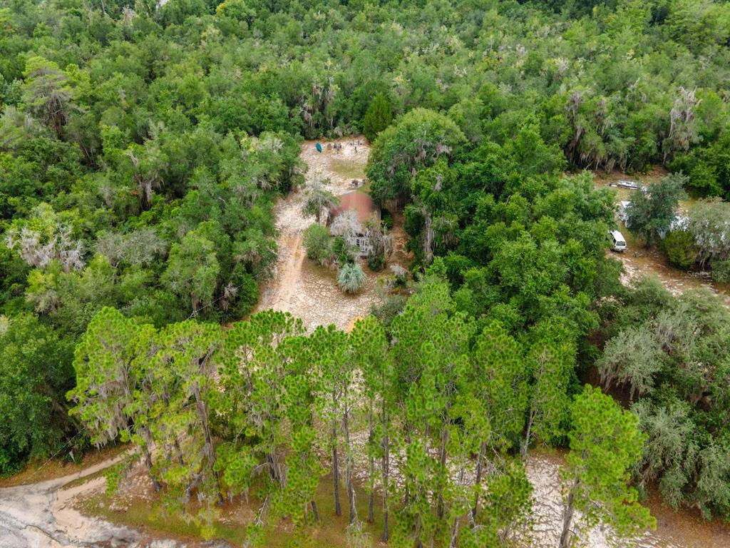 13668 Northeast 226th Avenue Road Fort McCoy, FL 32134 - Photo 30 of 37 a view of a forest with a house