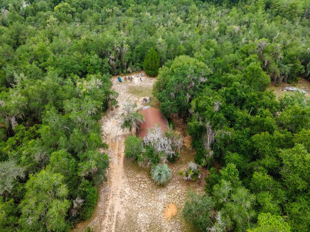 13668 Northeast 226th Avenue Road Fort McCoy, FL 32134 - Photo 35 of 37 a view of a forest with a tree