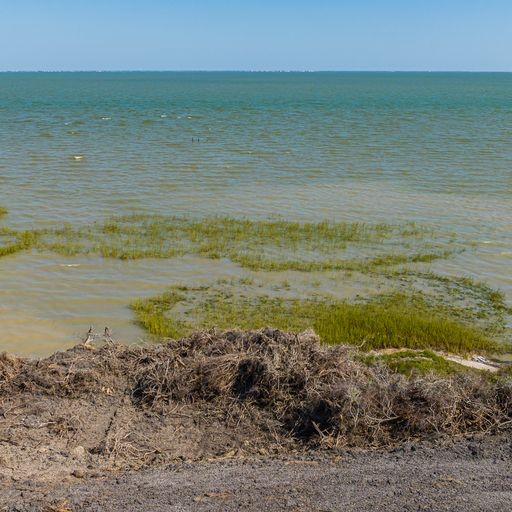 2415 1st Street Bayside, TX 78340 - Photo 3 of 18 a view of an ocean from a beach