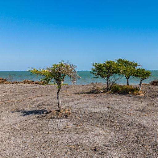 2415 1st Street Bayside, TX 78340 - Photo 4 of 18 a view of a lake with a yard