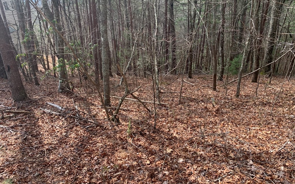 Lot20 Wolf Ridge Lane Murphy, NC 28906 - Photo 1 of 17 Main View