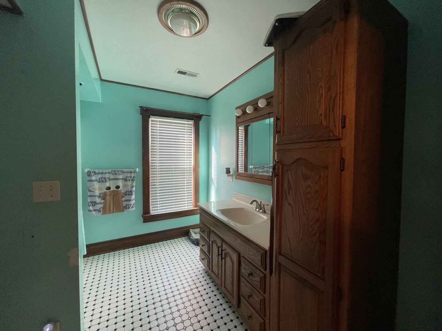 204 Locust Street Sublette, IL 61367 - Photo 14 of 17 a bathroom with a sink a mirror and shower