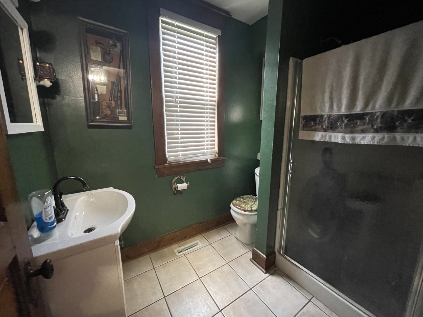 204 Locust Street Sublette, IL 61367 - Photo 9 of 17 a bathroom with a toilet and a sink