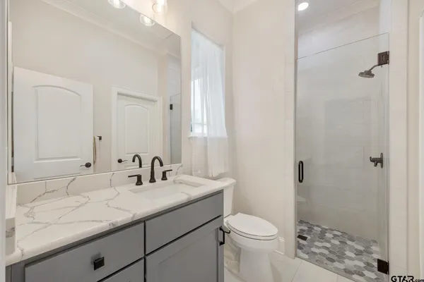 a bathroom with a sink a toilet a shower and a mirror