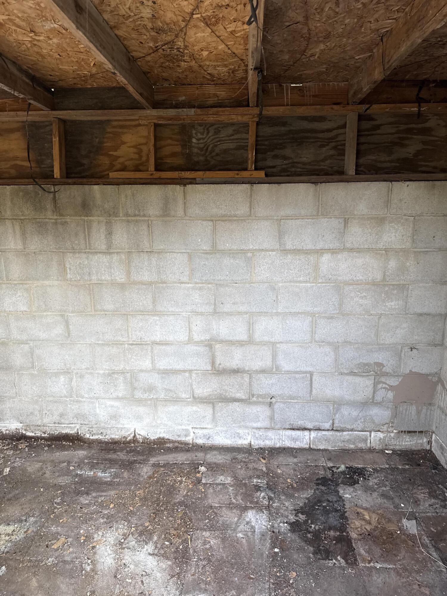 1707 Fenwick Street Augusta, GA 30904 - Photo 27 of 34 26