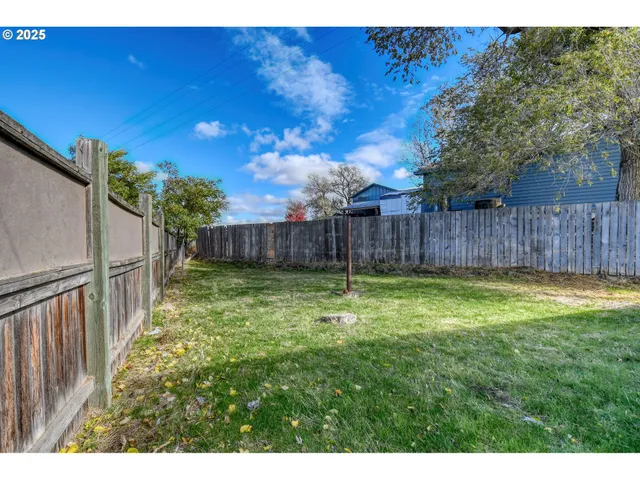 a view of a backyard with large trees and wooden fence