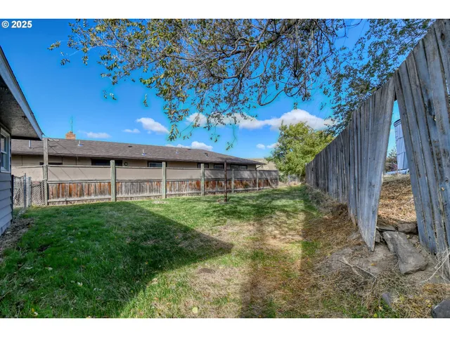 a view of a backyard with plants and large trees