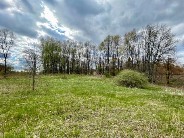 24 24 Mile Road Battle Creek, MI 49014 - Photo 3 of 9