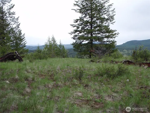 a view of a field of grass and trees