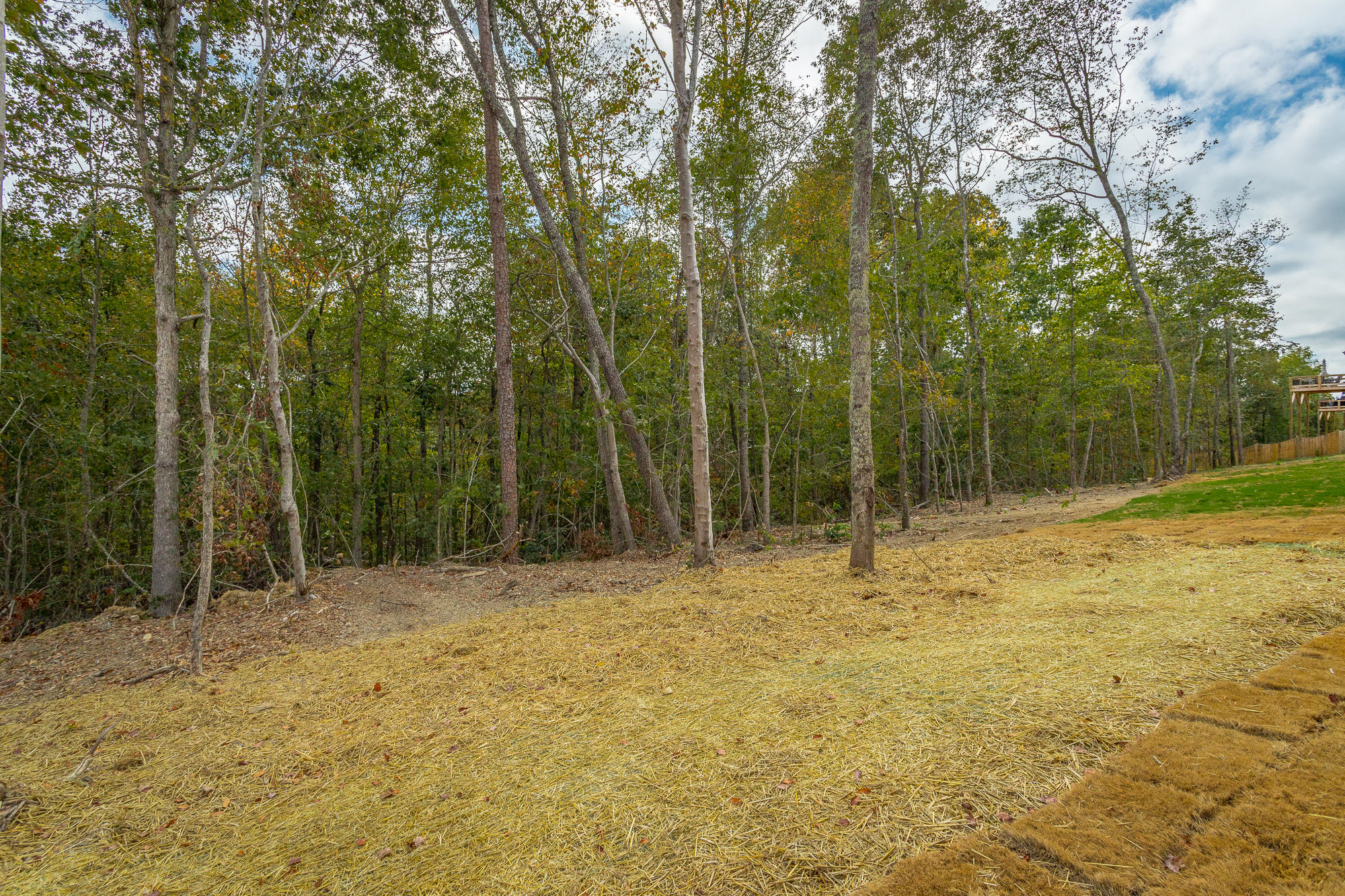 9378 Chirping Road, Unit 297 Hixson, TN 37343 - Photo 46 of 57 9378 Chirping Rd. HD-15