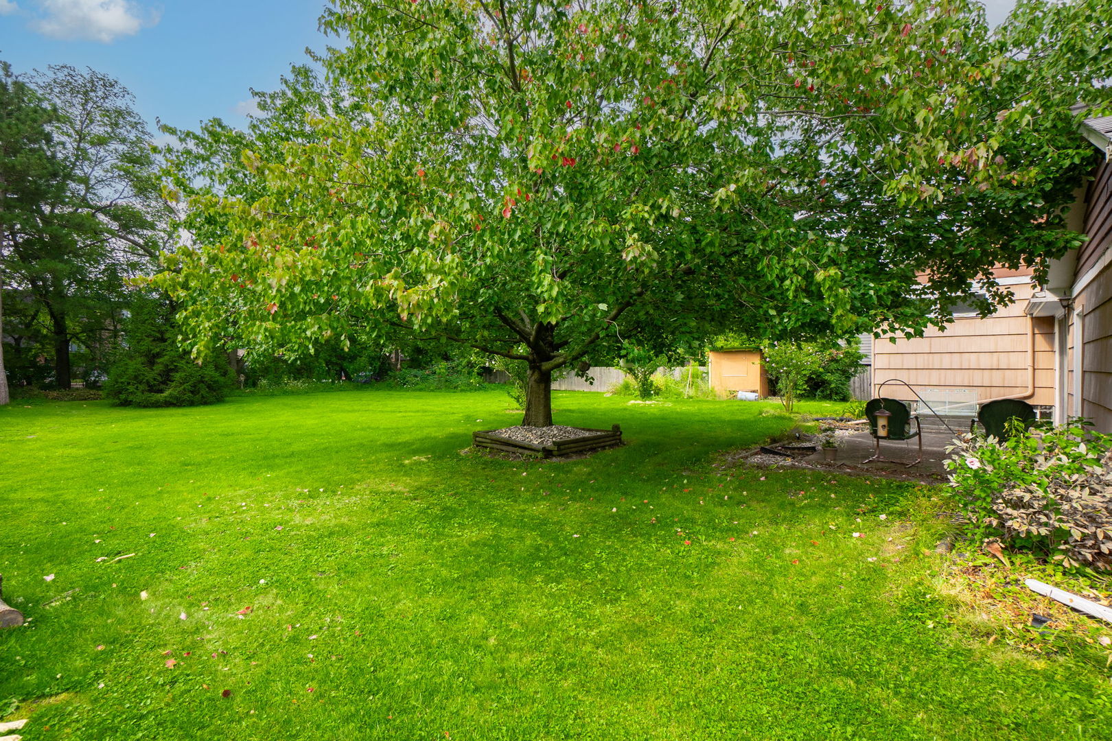3225 Otto Street Lansing, IL 60438 - Photo 17 of 21 a view of a garden with a tree