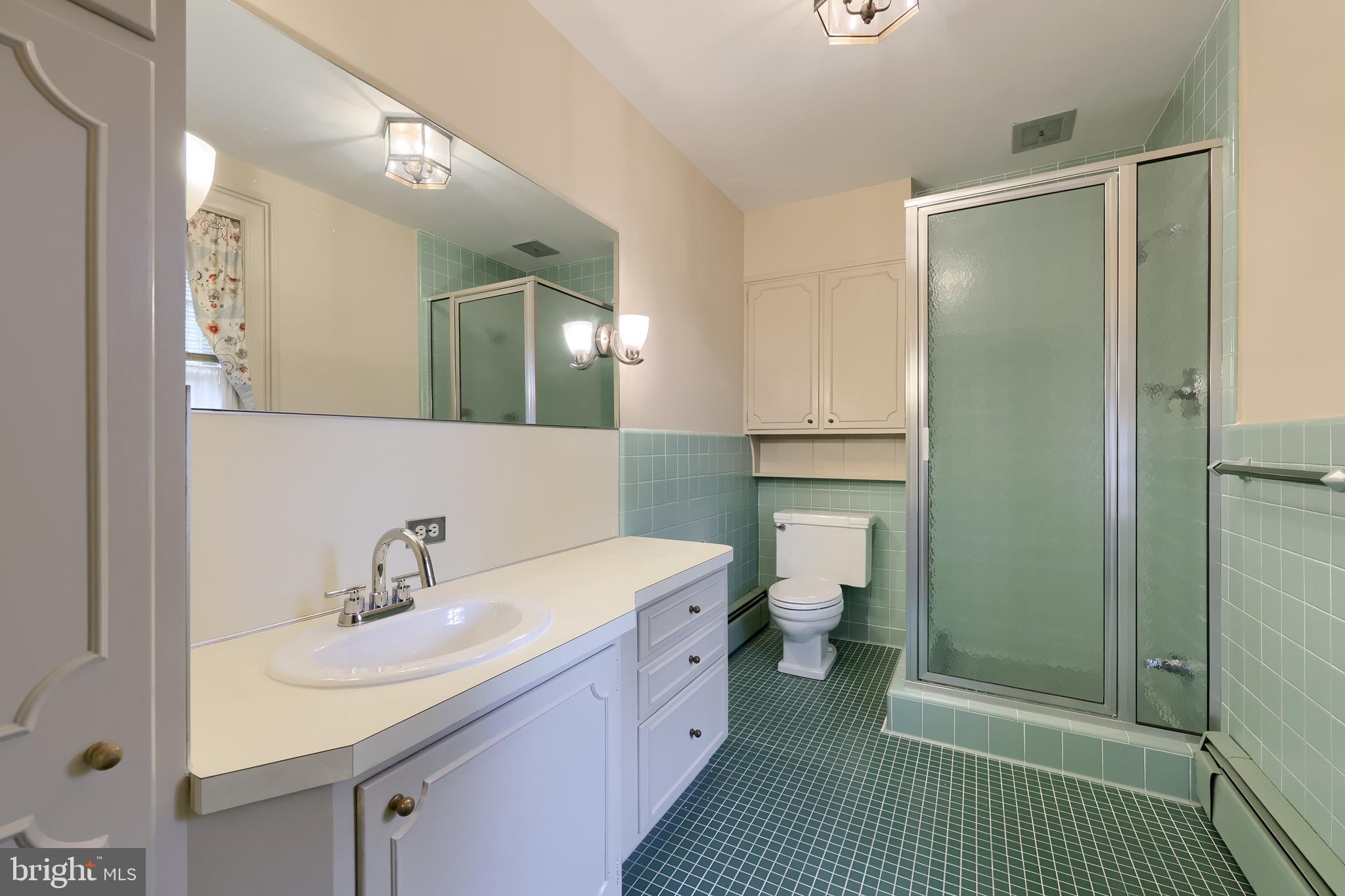 226 East Caracas Avenue Hershey, PA 17033 - Photo 40 of 67 a bathroom with a sink a toilet and shower