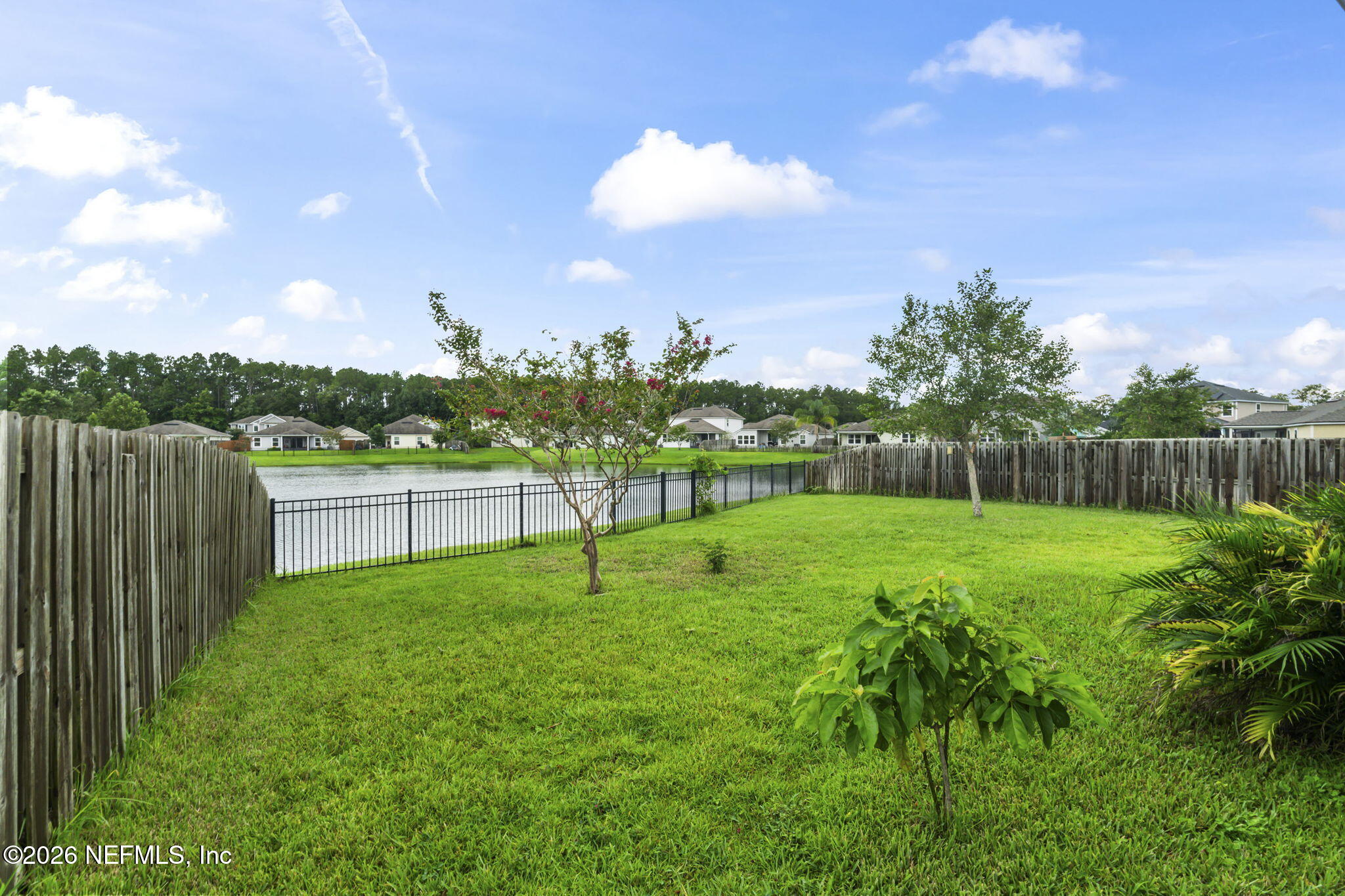 531 Colorado Springs Way St. Augustine, FL 32092 - Photo 45 of 62 Backyard_5