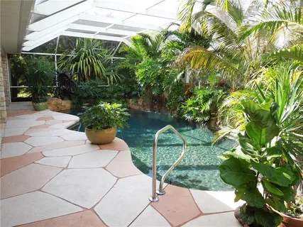 a view of a yard with plants and a tree