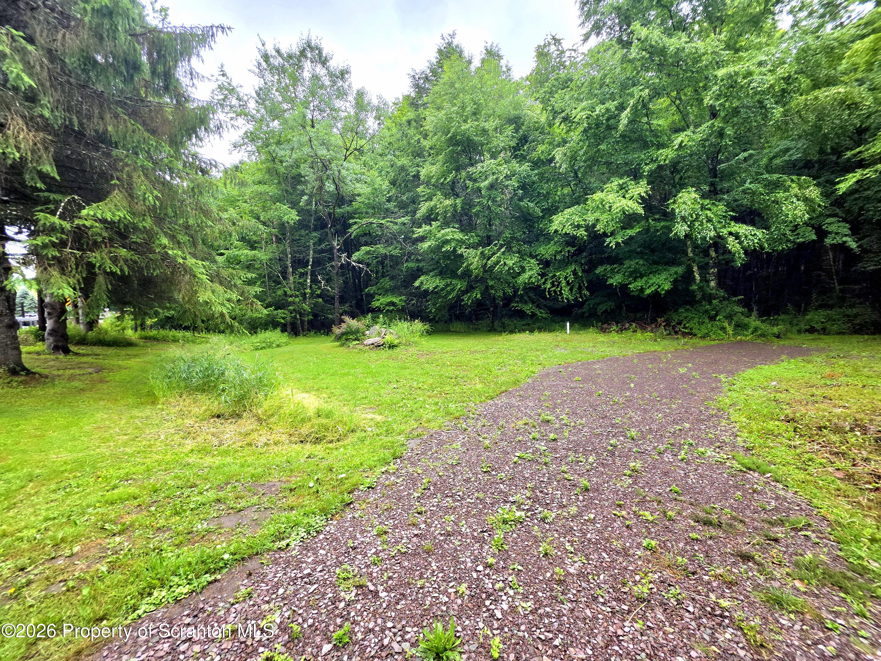 Driveway View