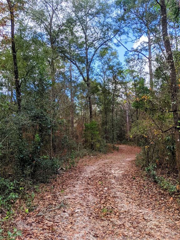 Wilson Springs Road Fort White, FL 32038 - Photo 1 of 1 Gallery Image 1