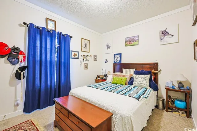 $290,000 | 4458 Old Buck Creek Road, Longs, SC 29568