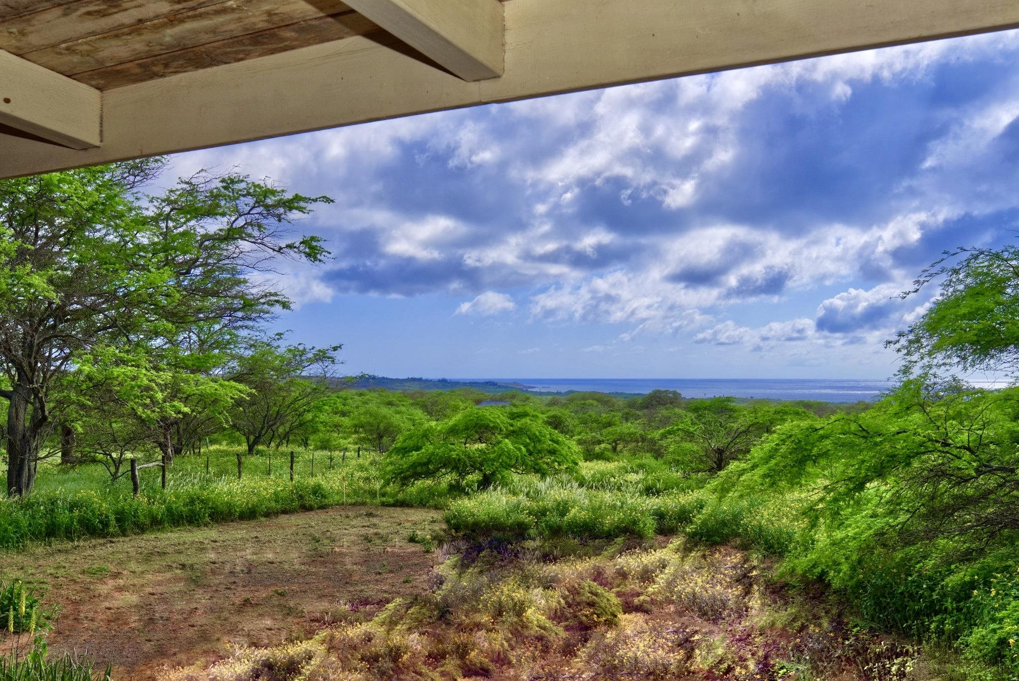 94 Noho Lio Road, Unit 157 Maunaloa, HI 96770 - Photo 2 of 38