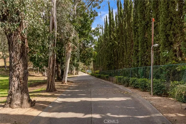 a view of a yard with plants and trees