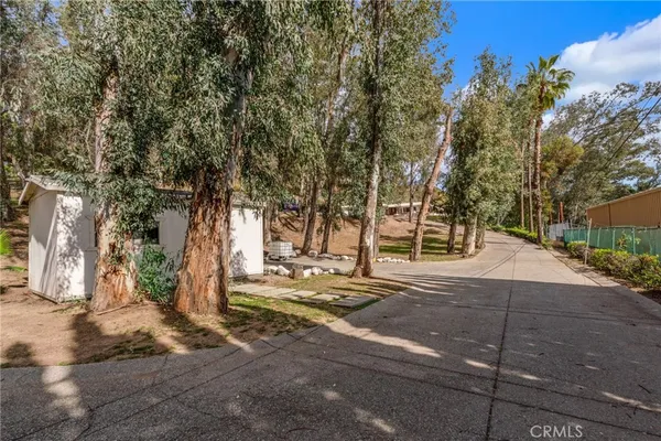 a view of yard with tree