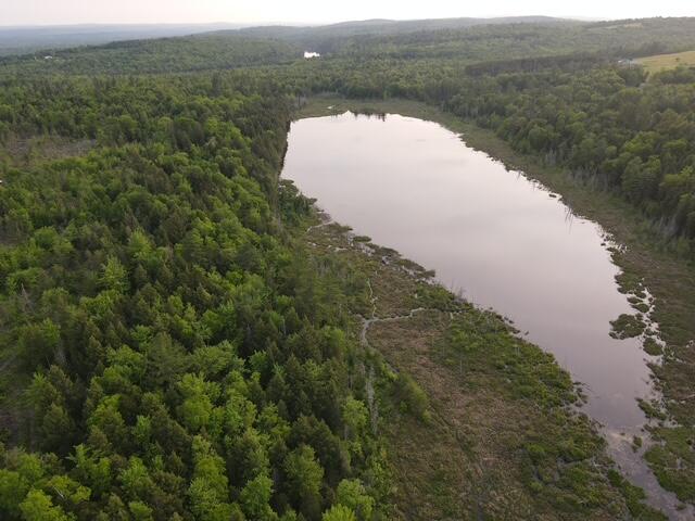 Parker Pond