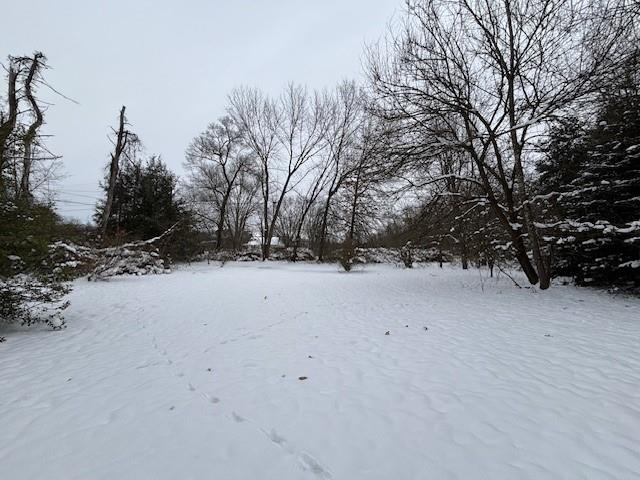 597 Mount Nebo Church Road Alverton, PA 15612 - Photo 15 of 19 a view of road and covered with fog