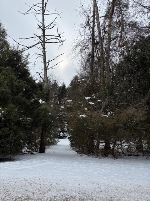 597 Mount Nebo Church Road Alverton, PA 15612 - Photo 16 of 19