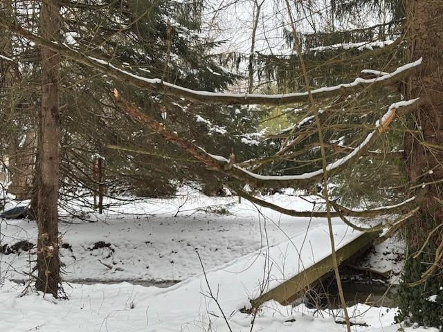 597 Mount Nebo Church Road Alverton, PA 15612 - Photo 18 of 19 a view of outdoor space