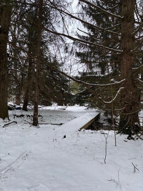 597 Mount Nebo Church Road Alverton, PA 15612 - Photo 19 of 19 a view of outdoor space with seating area