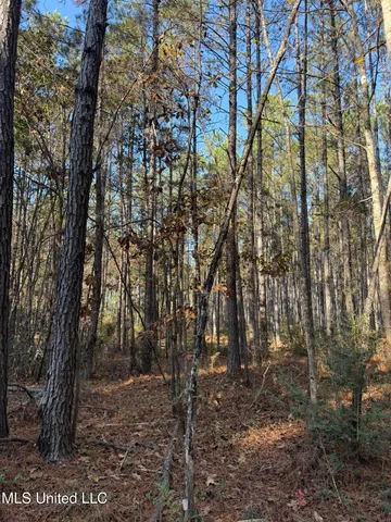 $195,000 | Corbit Boulevard, McLain, MS 39456