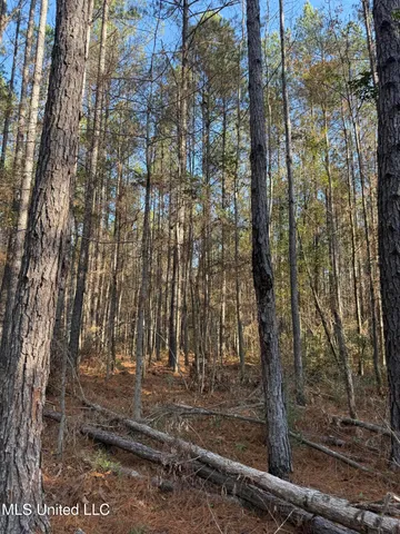 $195,000 | Corbit Boulevard, McLain, MS 39456