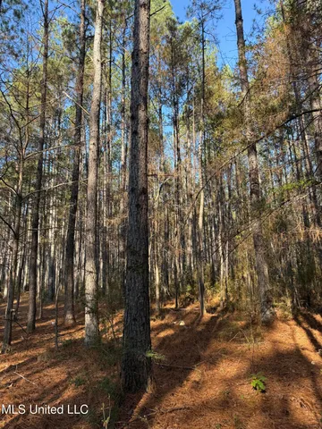 $195,000 | Corbit Boulevard, McLain, MS 39456