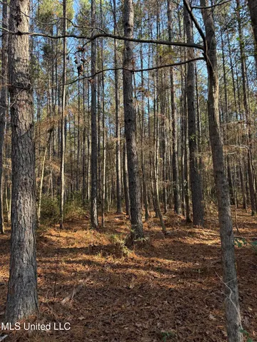 $195,000 | Corbit Boulevard, McLain, MS 39456