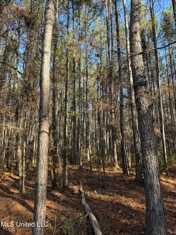 $195,000 | Corbit Boulevard, McLain, MS 39456