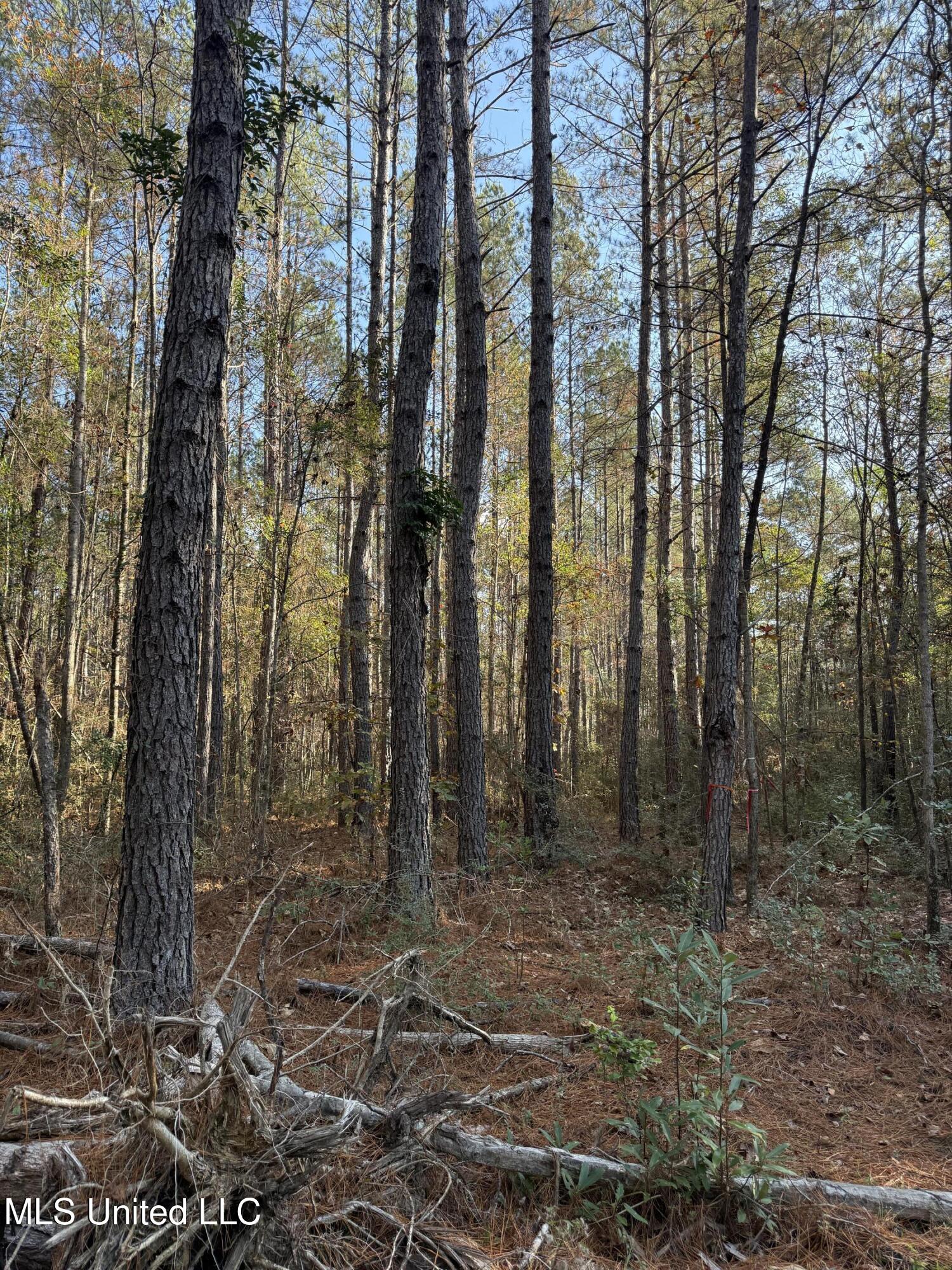 Corbit Boulevard McLain, MS 39456 - Photo 7 of 8 IMG_2850