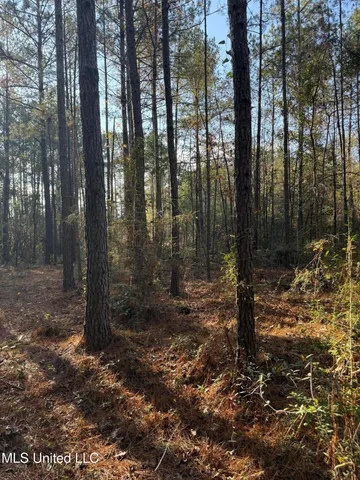 $195,000 | Corbit Boulevard, McLain, MS 39456