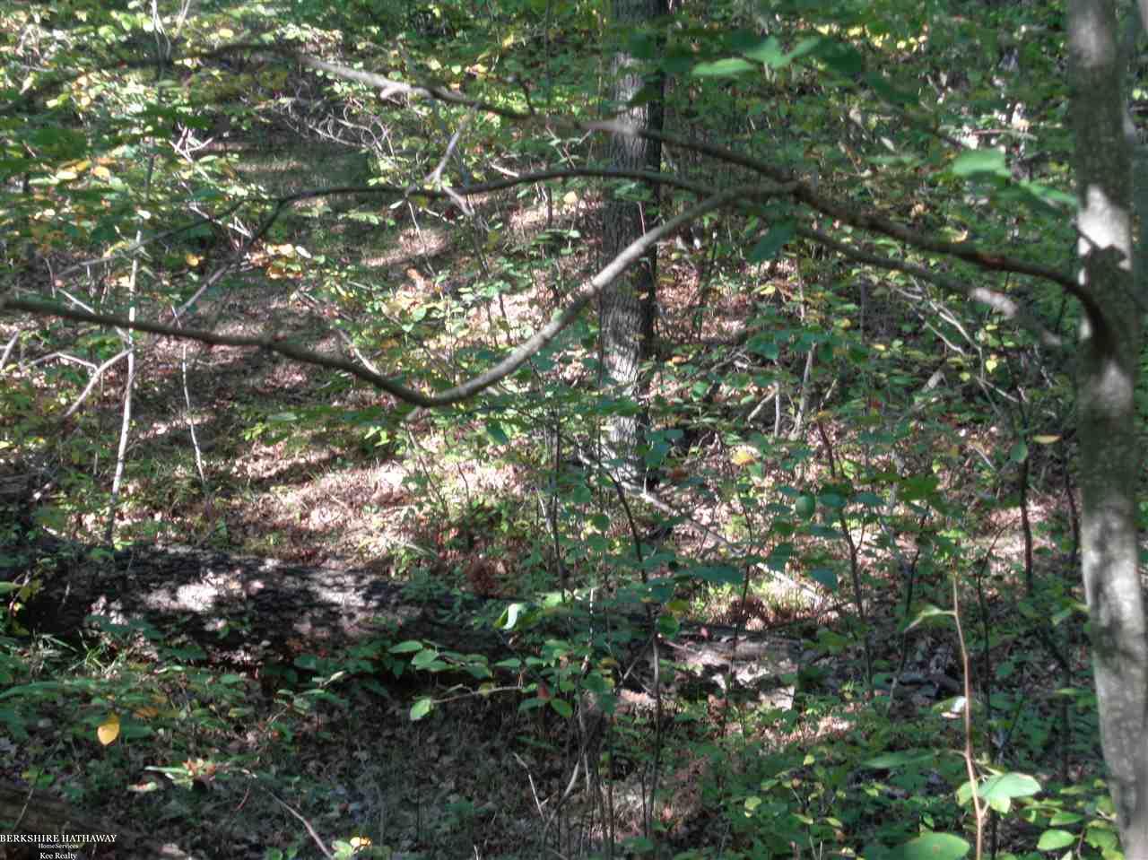 Lot 39 Weaver Rd Port Port Austin, MI 48467 - Photo 4 of 5