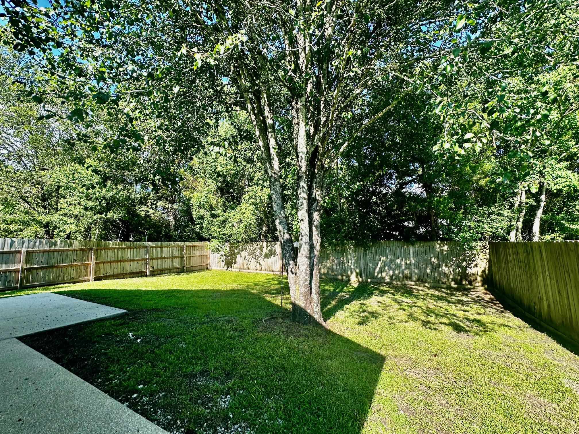 9090 Bay Pnes Road Elberta, AL 36530 - Photo 4 of 26 Yard