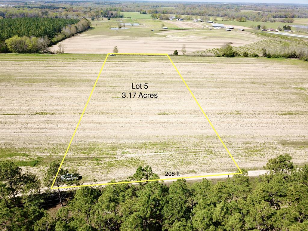 3.17-acres Summer Road Slocomb, AL 36375 - Photo 1 of 5