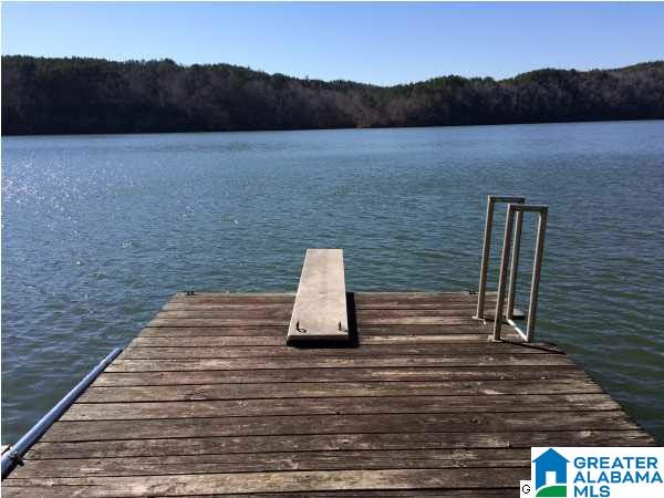 224 Edward Minor Road Adger, AL 35006 - Photo 5 of 15