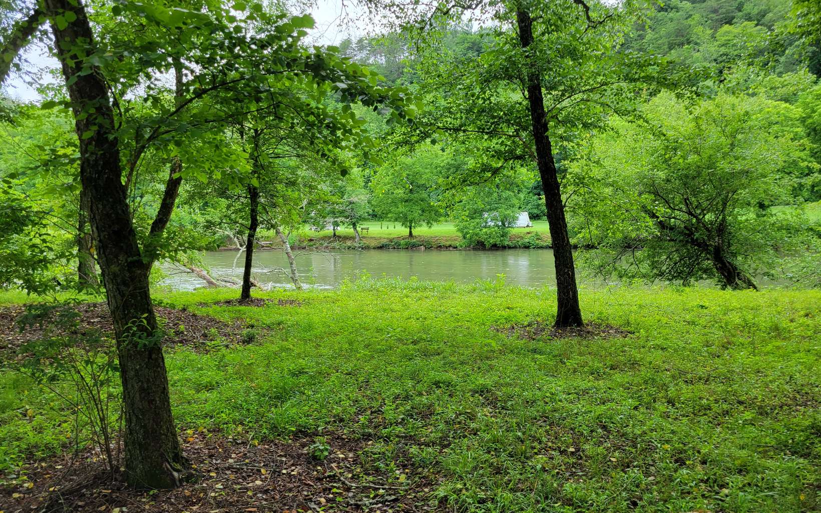 River Farm Drive Murphy, NC 28906 - Photo 3 of 11 a view of a garden with a tree