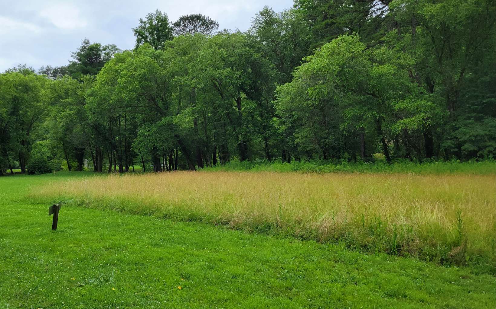 River Farm Drive Murphy, NC 28906 - Photo 4 of 11 a view of swimming pool with a yard