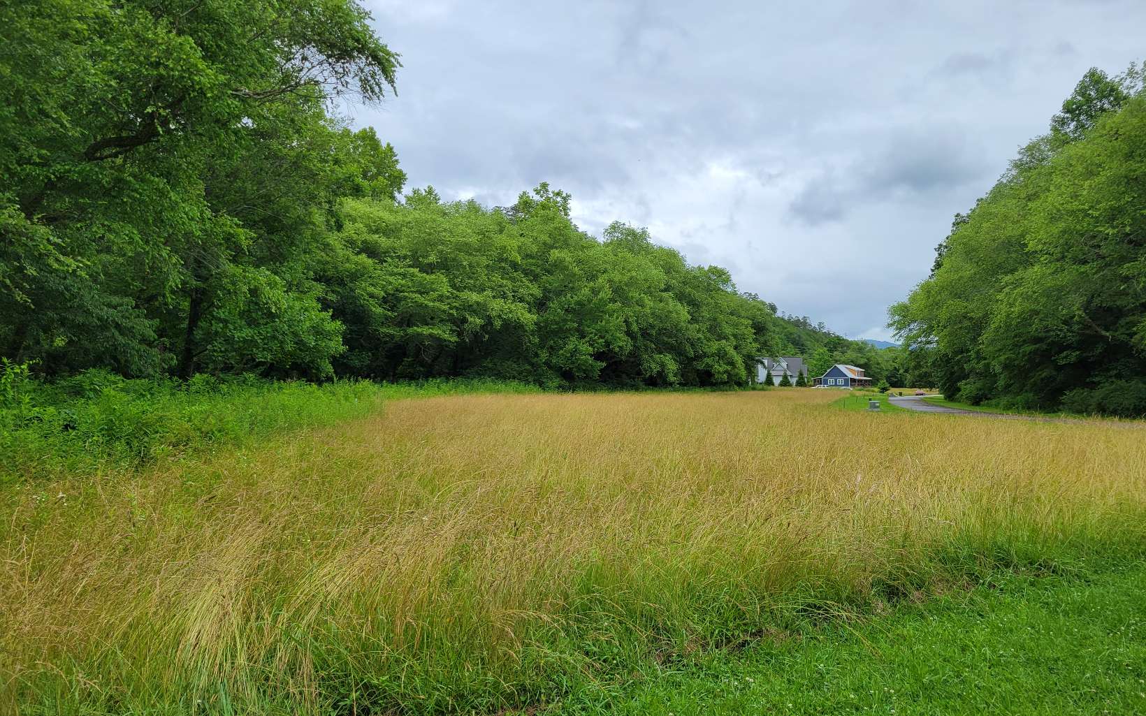 River Farm Drive Murphy, NC 28906 - Photo 6 of 11 a view of outdoor space and yard