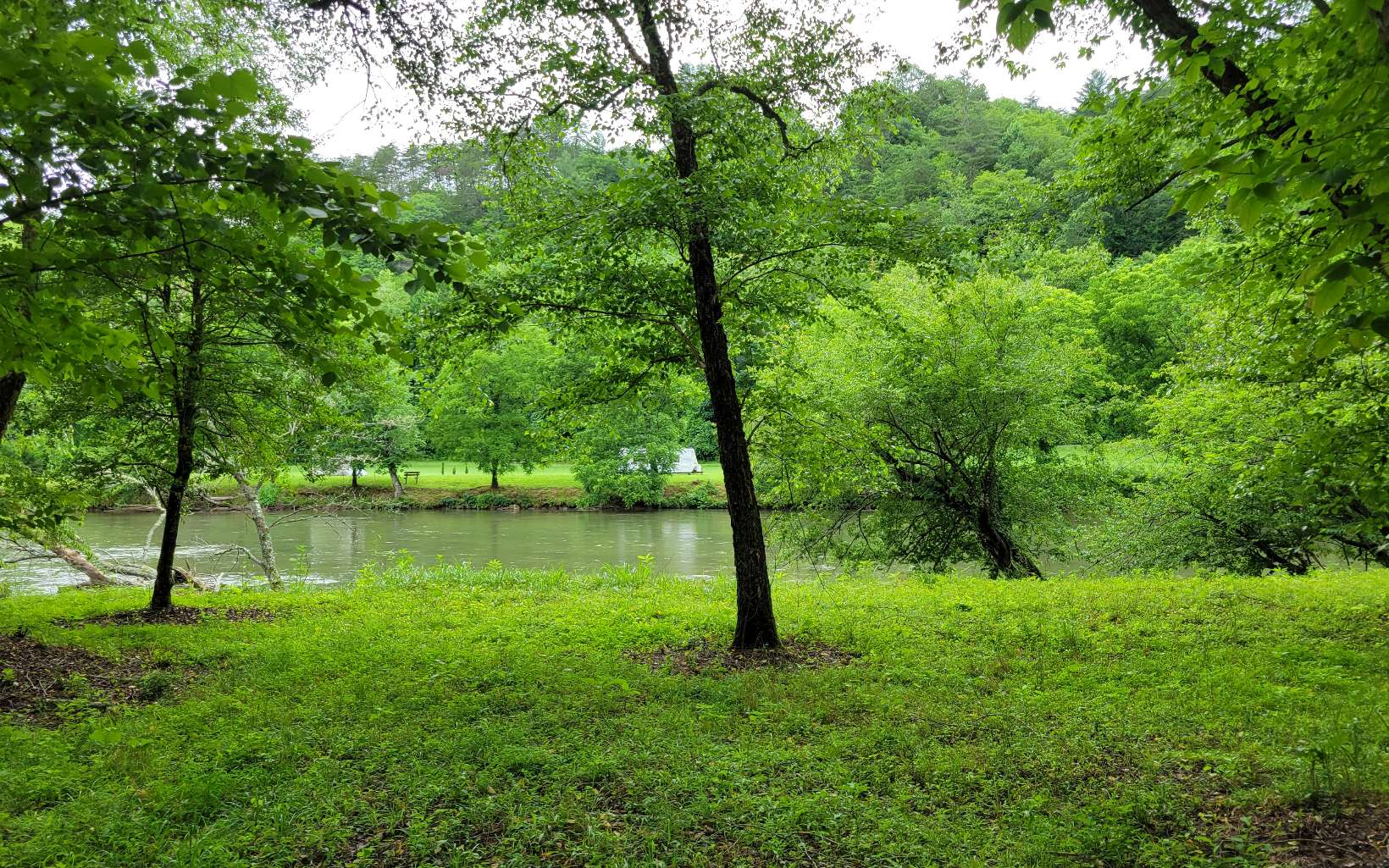 River Farm Drive Murphy, NC 28906 - Photo 9 of 11 a view of lake with green space
