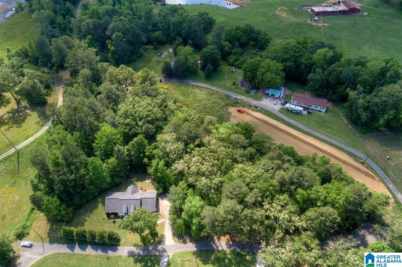631 Dana Road Warrior, AL 35180 - Photo 36 of 41