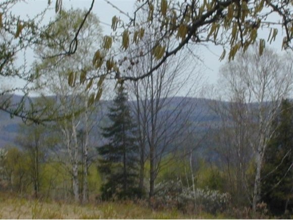 Lot 7.1 Dalton Road Dalton, NH 03598 - Photo 1 of 1 Gallery Image 1