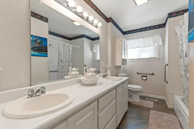 a bathroom with a double vanity sink toilet and a mirror