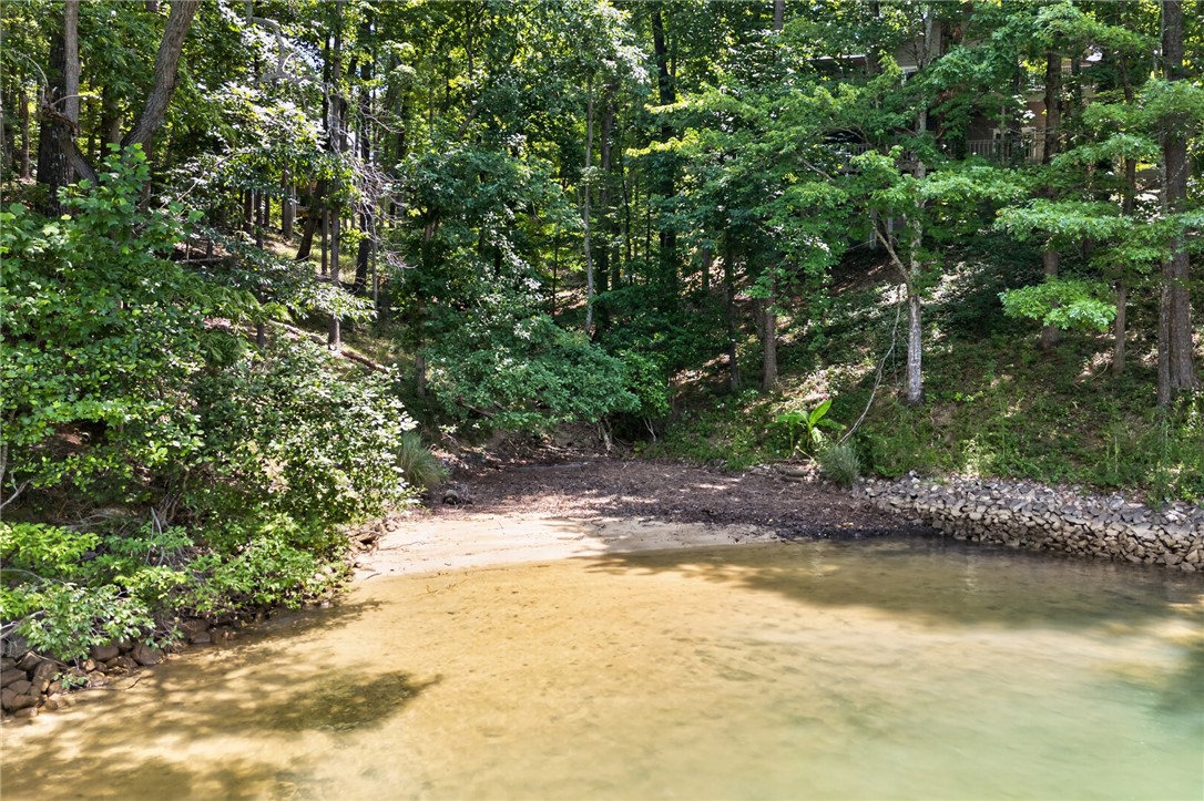 12 Lookout Lane Salem, SC 29676 - Photo 4 of 47 Natural sand beach completes this quiet cove.