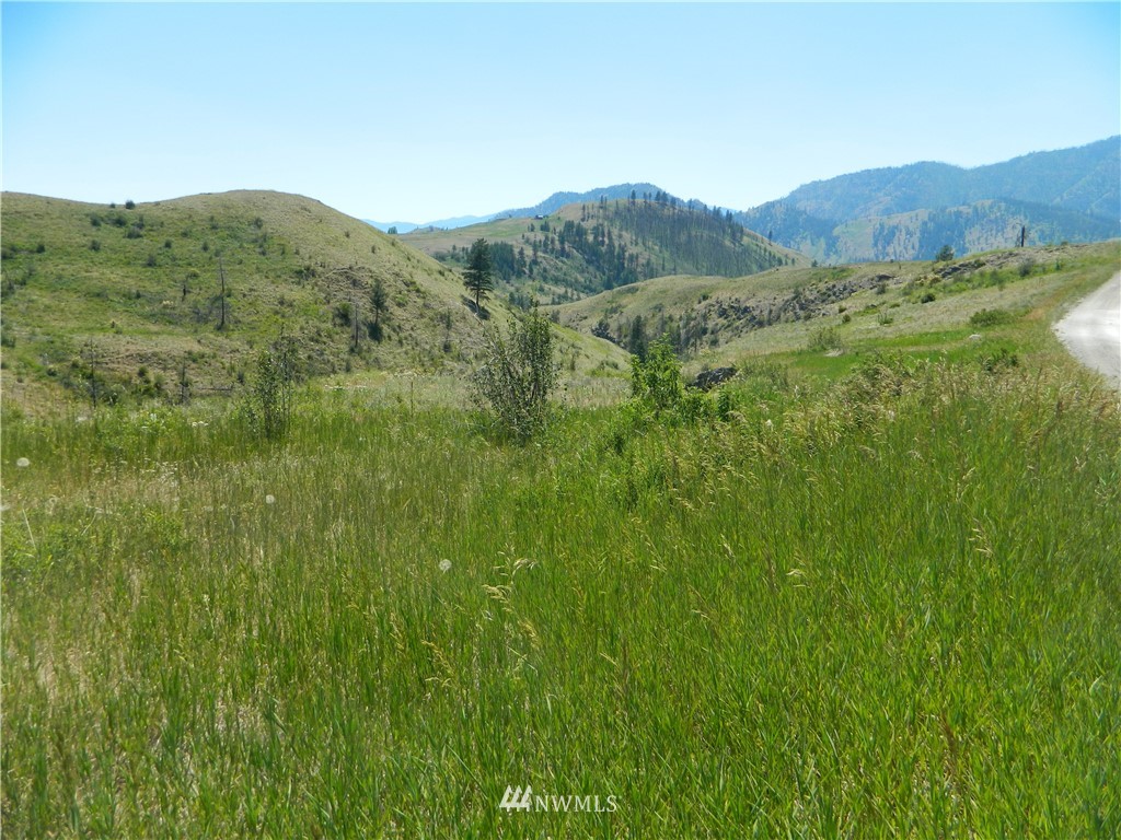 166 Stalder Road Tonasket, WA 98855 - Photo 1 of 10 Gallery Image 1