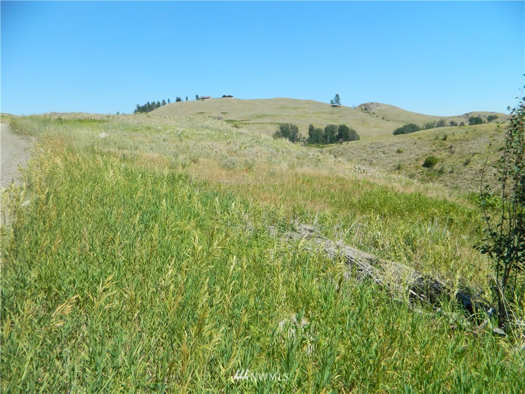 166 Stalder Road Tonasket, WA 98855 - Photo 3 of 10 Gallery Image 3